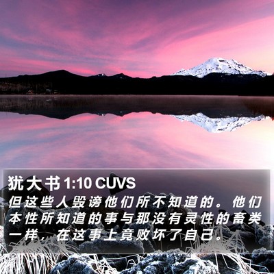 犹 大 书 1:10 CUVS Bible Verse Image