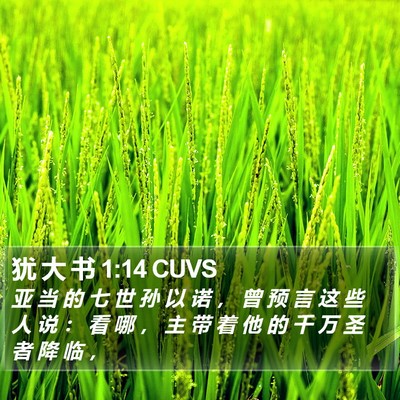 犹 大 书 1:14 CUVS Bible Verse Image