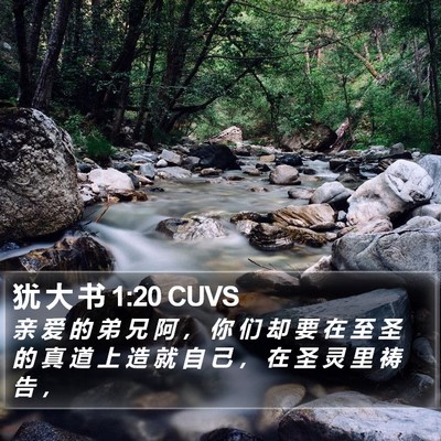 犹 大 书 1:20 CUVS Bible Verse Image