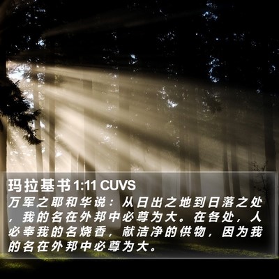 玛 拉 基 书 1:11 CUVS Bible Verse Image