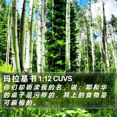 玛 拉 基 书 1:12 CUVS Bible Verse Image