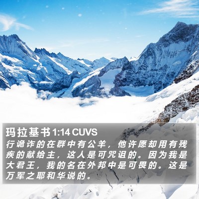 玛 拉 基 书 1:14 CUVS Bible Verse Image