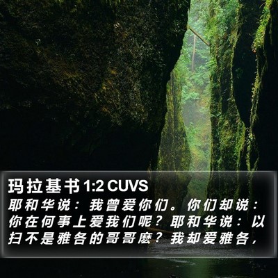 玛 拉 基 书 1:2 CUVS Bible Verse Image