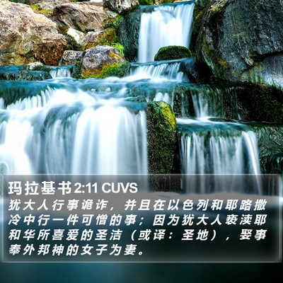 玛 拉 基 书 2:11 CUVS Bible Verse Image