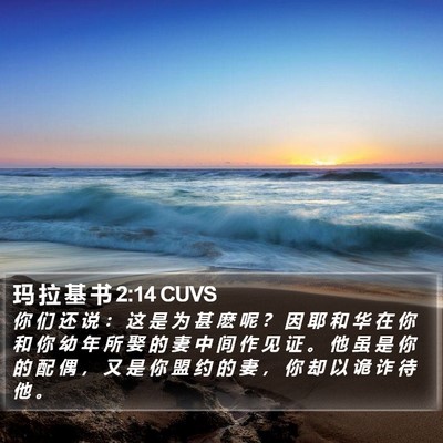 玛 拉 基 书 2:14 CUVS Bible Verse Image