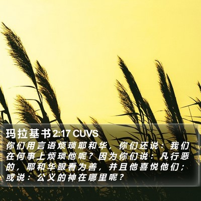 玛 拉 基 书 2:17 CUVS Bible Verse Image