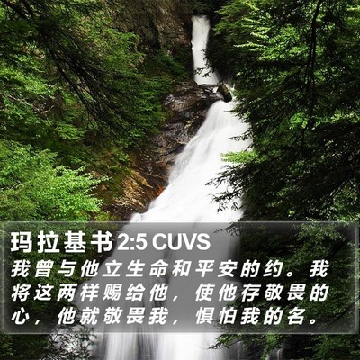 玛 拉 基 书 2:5 CUVS Bible Verse Image