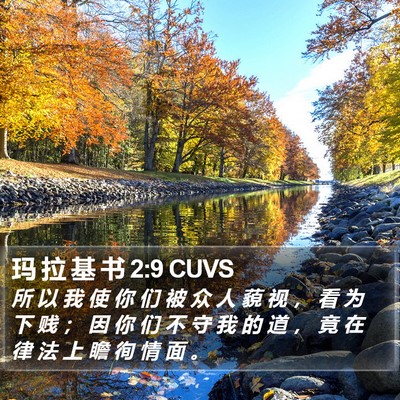玛 拉 基 书 2:9 CUVS Bible Verse Image