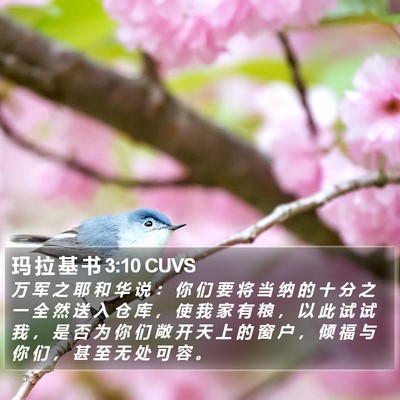 玛 拉 基 书 3:10 CUVS Bible Verse Image