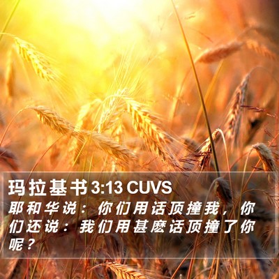玛 拉 基 书 3:13 CUVS Bible Verse Image