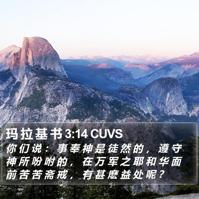 玛 拉 基 书 3:14 CUVS Bible Verse Image