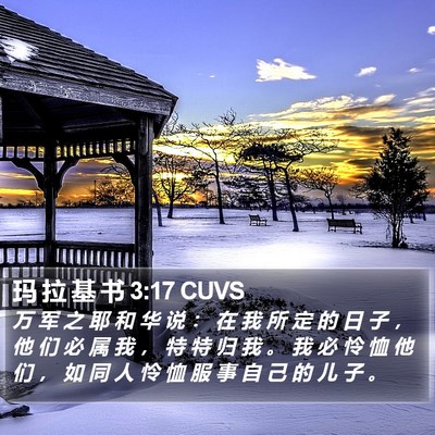 玛 拉 基 书 3:17 CUVS Bible Verse Image