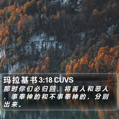 玛 拉 基 书 3:18 CUVS Bible Verse Image