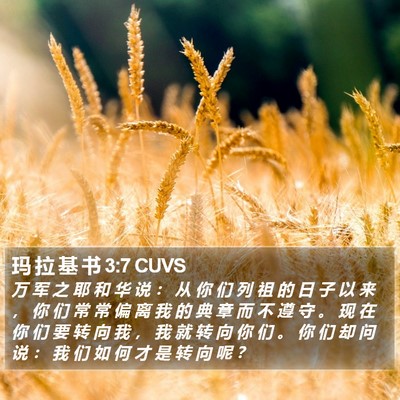 玛 拉 基 书 3:7 CUVS Bible Verse Image