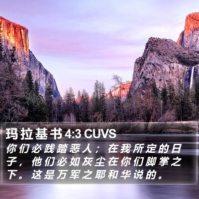 玛 拉 基 书 4:3 CUVS Bible Verse Image