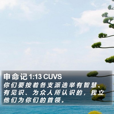 申 命 记 1:13 CUVS Bible Verse Image