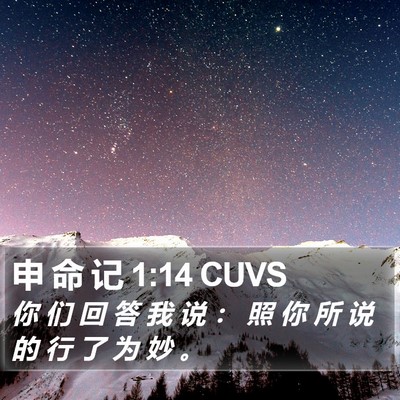 申 命 记 1:14 CUVS Bible Verse Image