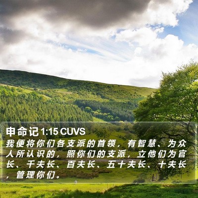 申 命 记 1:15 CUVS Bible Verse Image