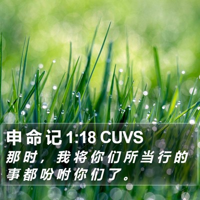 申 命 记 1:18 CUVS Bible Verse Image