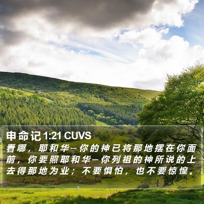 申 命 记 1:21 CUVS Bible Verse Image