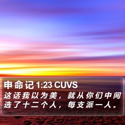 申 命 记 1:23 CUVS Bible Verse Image