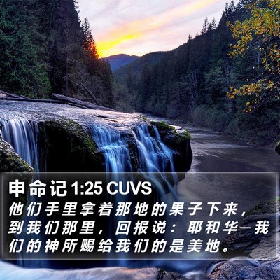 申 命 记 1:25 CUVS Bible Verse Image