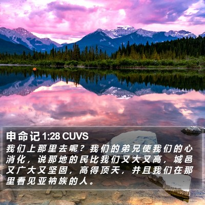 申 命 记 1:28 CUVS Bible Verse Image