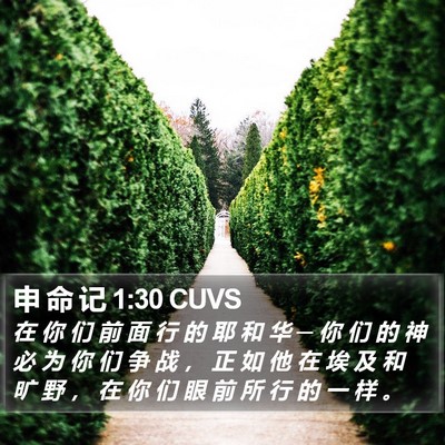 申 命 记 1:30 CUVS Bible Verse Image