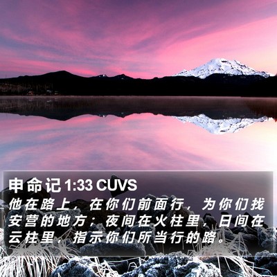 申 命 记 1:33 CUVS Bible Verse Image