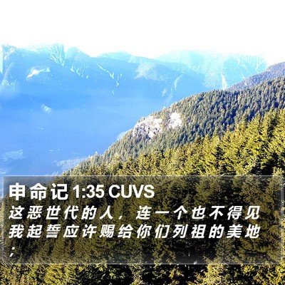 申 命 记 1:35 CUVS Bible Verse Image
