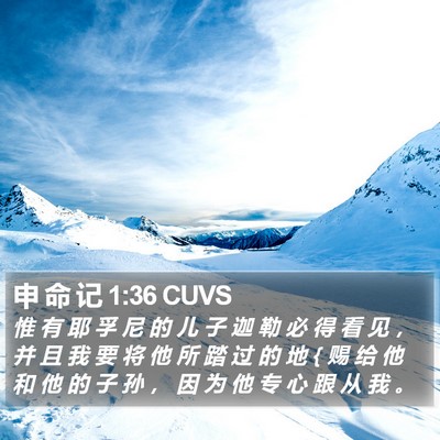 申 命 记 1:36 CUVS Bible Verse Image