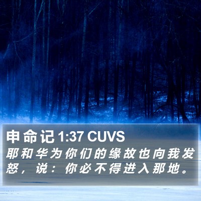 申 命 记 1:37 CUVS Bible Verse Image