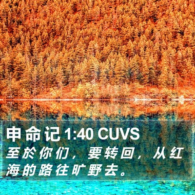 申 命 记 1:40 CUVS Bible Verse Image