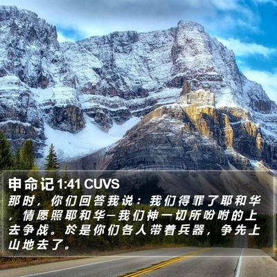 申 命 记 1:41 CUVS Bible Verse Image