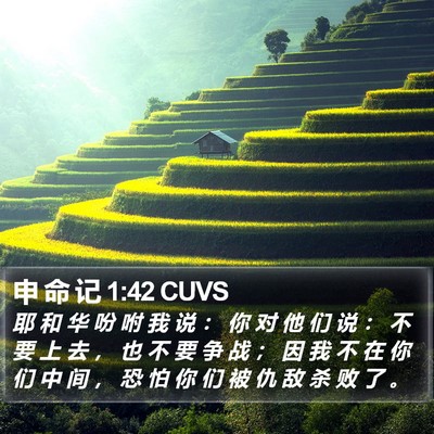 申 命 记 1:42 CUVS Bible Verse Image