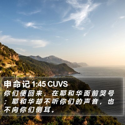 申 命 记 1:45 CUVS Bible Verse Image