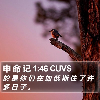申 命 记 1:46 CUVS Bible Verse Image