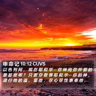 申 命 记 10:12 CUVS Bible Verse Image
