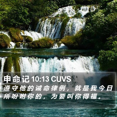 申 命 记 10:13 CUVS Bible Verse Image