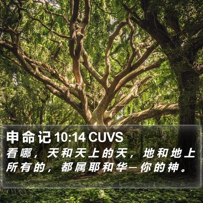 申 命 记 10:14 CUVS Bible Verse Image