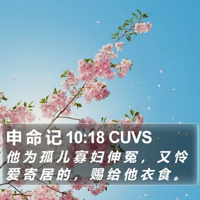 申 命 记 10:18 CUVS Bible Verse Image
