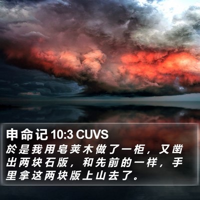 申 命 记 10:3 CUVS Bible Verse Image