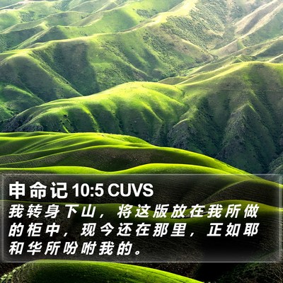 申 命 记 10:5 CUVS Bible Verse Image