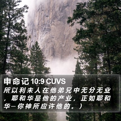 申 命 记 10:9 CUVS Bible Verse Image