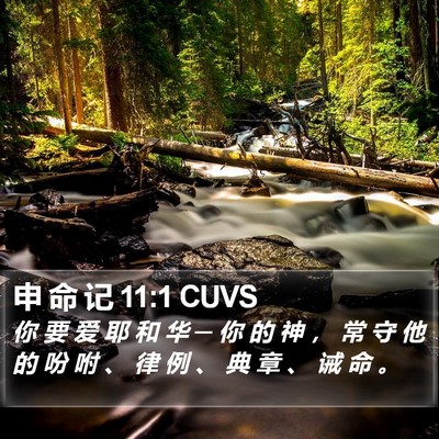 申 命 记 11:1 CUVS Bible Verse Image