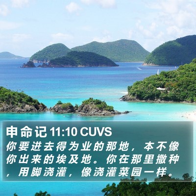 申 命 记 11:10 CUVS Bible Verse Image