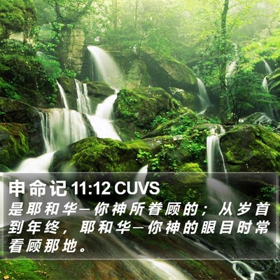 申 命 记 11:12 CUVS Bible Verse Image