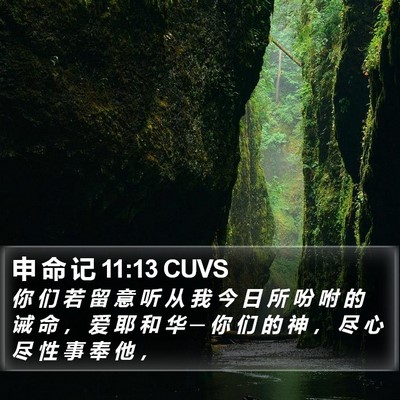 申 命 记 11:13 CUVS Bible Verse Image