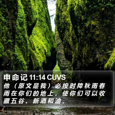 申 命 记 11:14 CUVS Bible Verse Image
