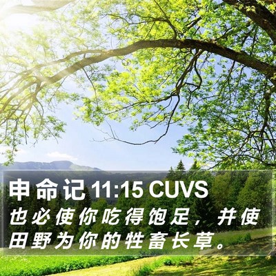 申 命 记 11:15 CUVS Bible Verse Image
